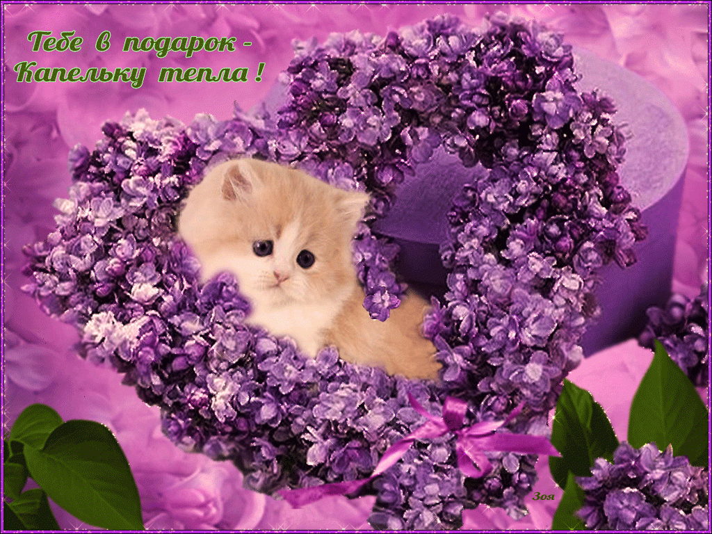 ����������, ������ ������������ �������� ��