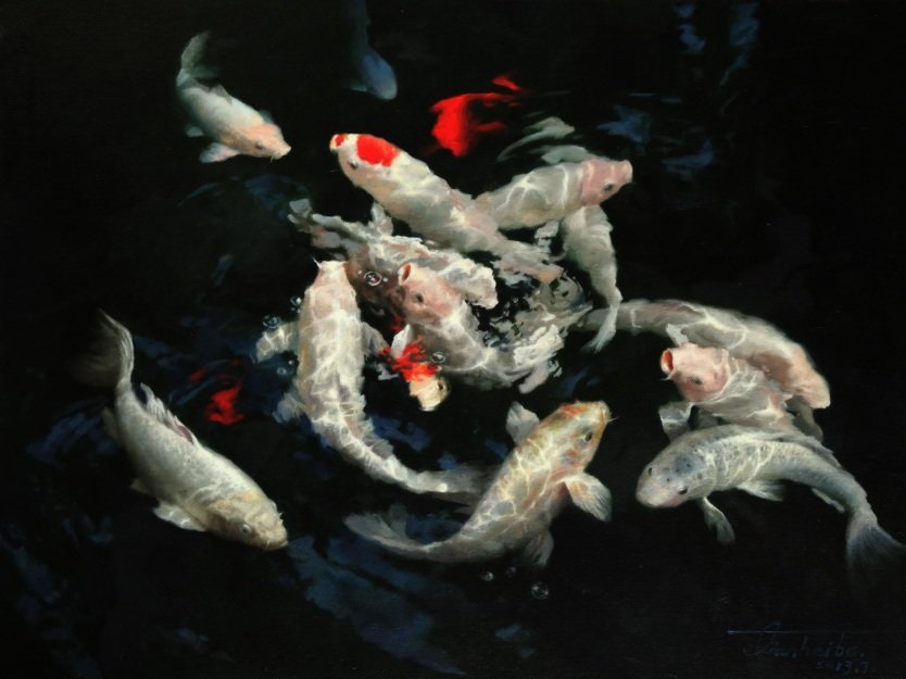 koi фото
