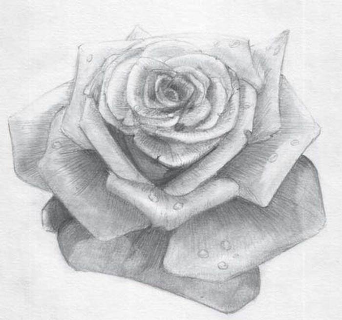 ������� ��������, �������� �������� ���� ����������