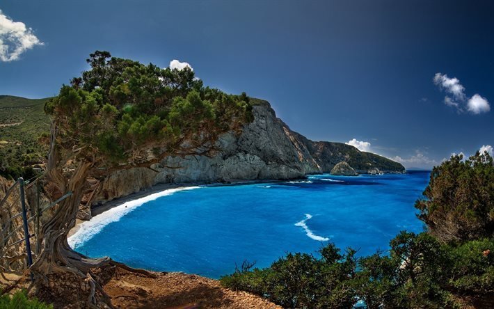 порто кацики фото