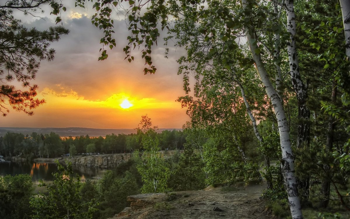природа рассвет береза фото