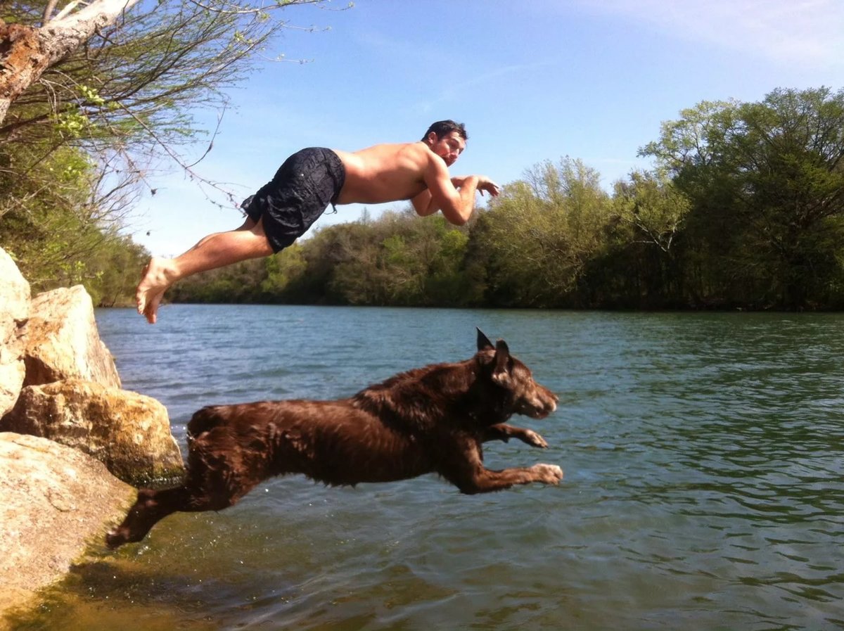 ��� ���������, ������� ���� � �������� � ���������