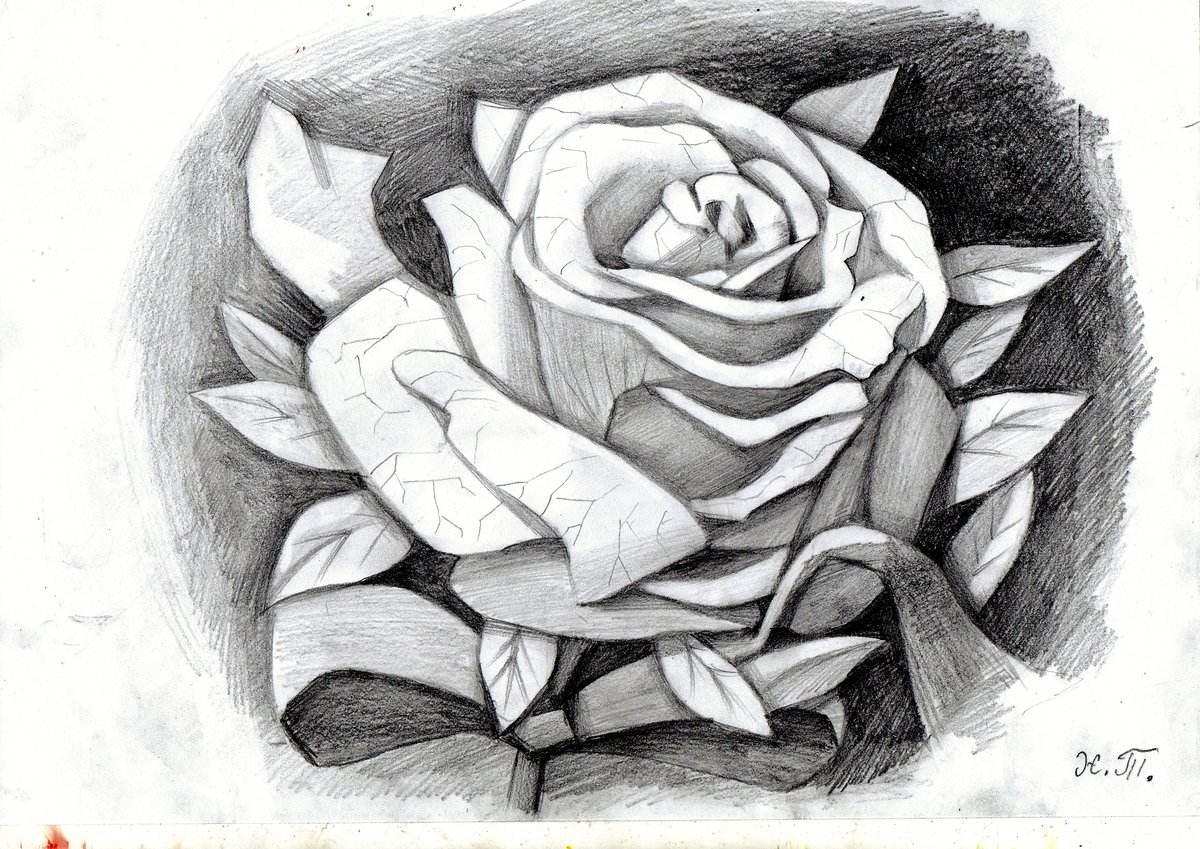 ����� ���, �������� �������� ���� ����������