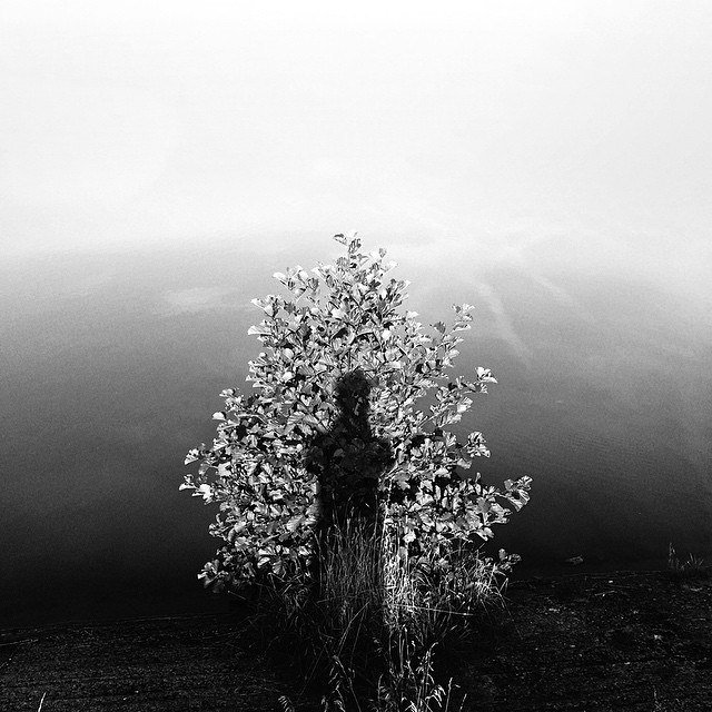 черно белая фотография фото