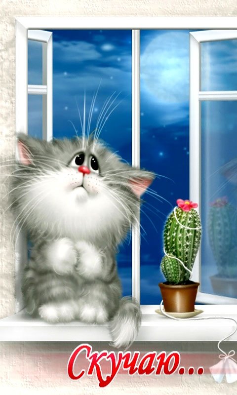 ��� �������� ���������� ������� ��������