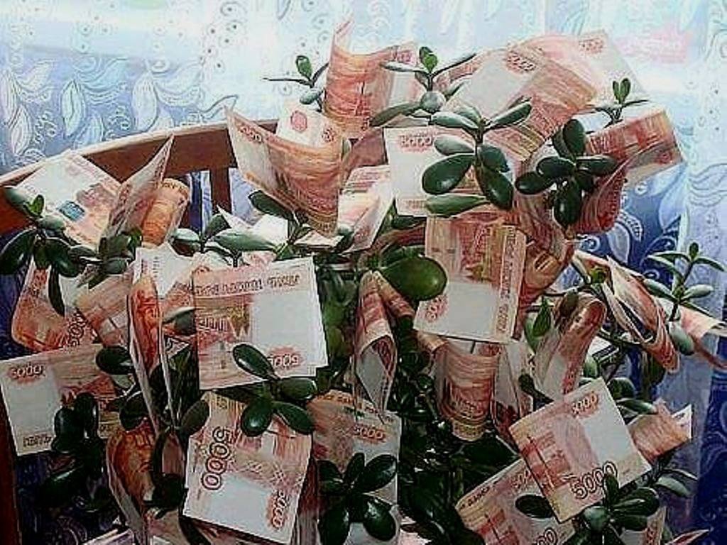 �����, �������� � �������� � �������