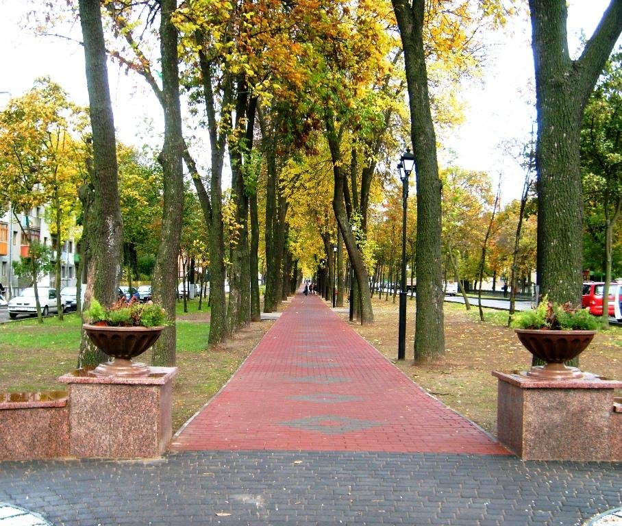 парк имени воровского клинцы фото