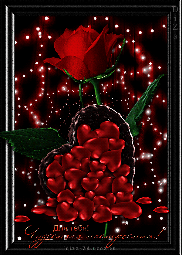 ������������ �������� �� �������, �������� ���� ����������