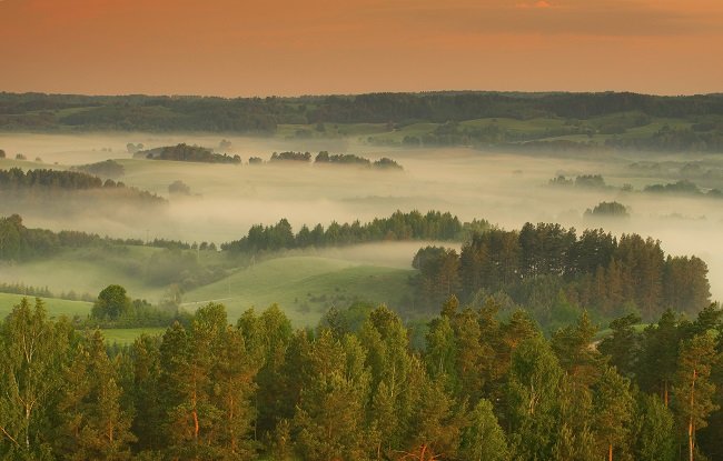 утро туманное фото