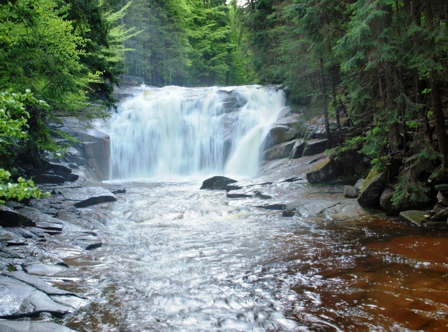 лес водопад фото