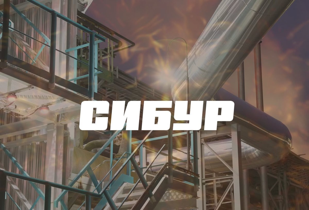 сибур лого фото