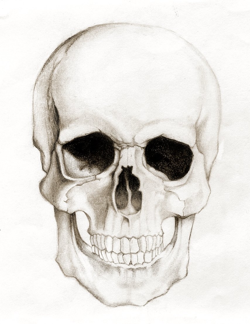 Картинки как нарисовать череп