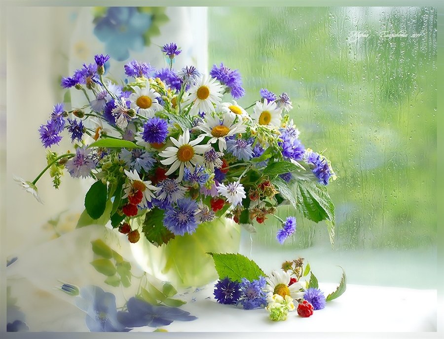 �������� ������� �������� � ������ �����