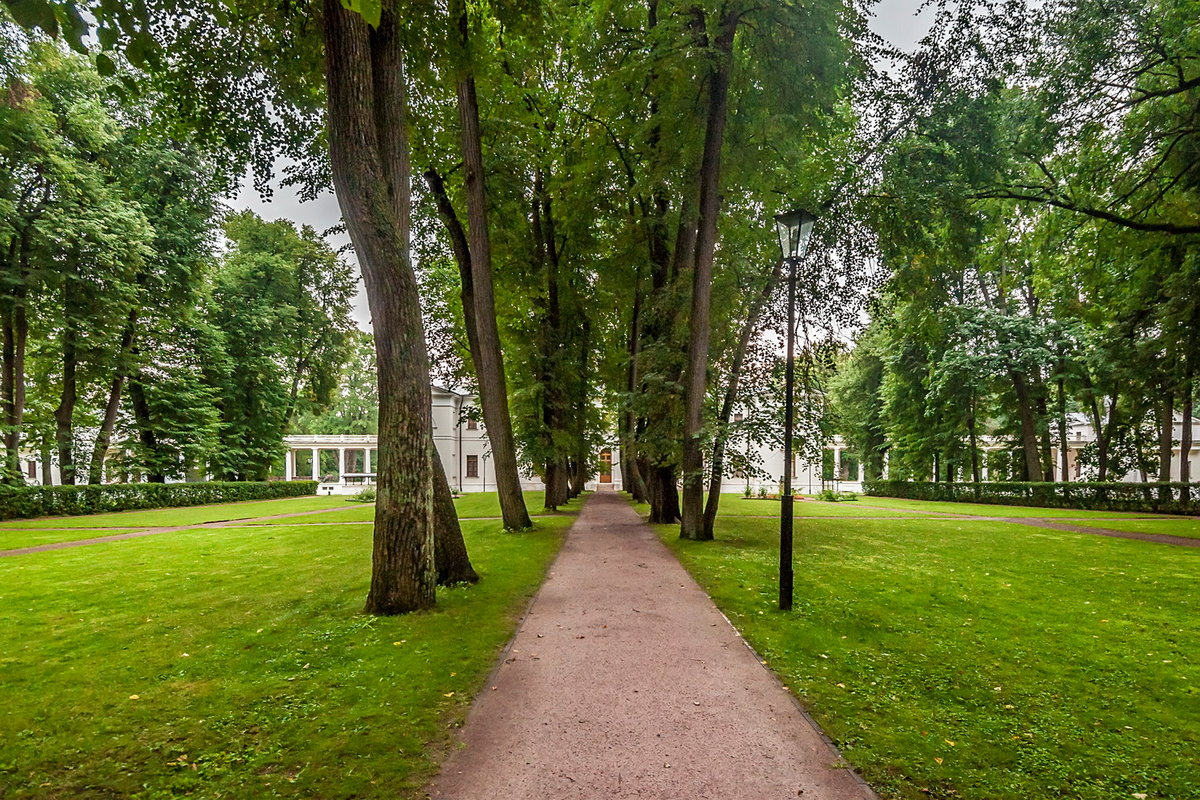 михайловский сад в санкт петербурге фото