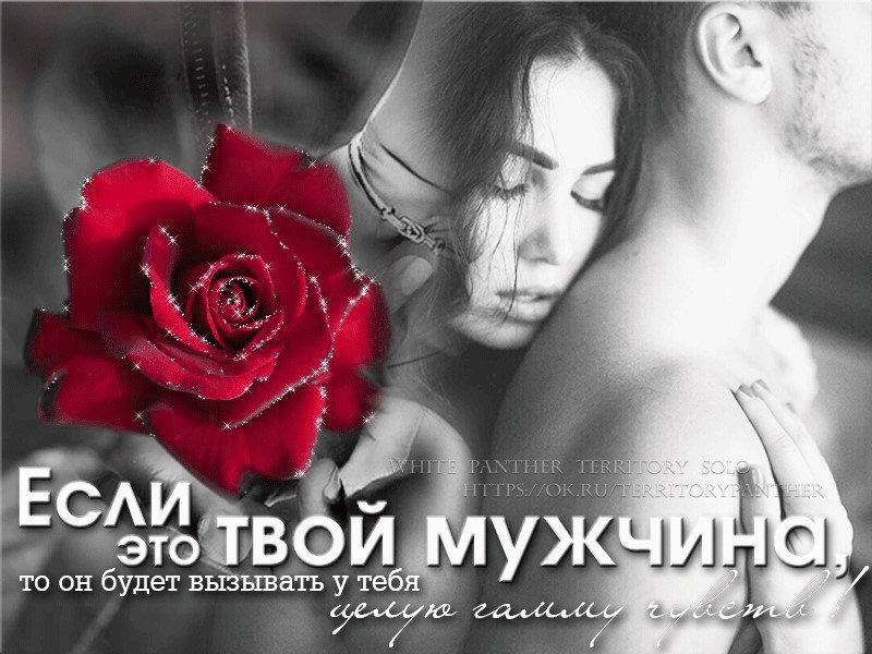 �������� ������ ����, ��������