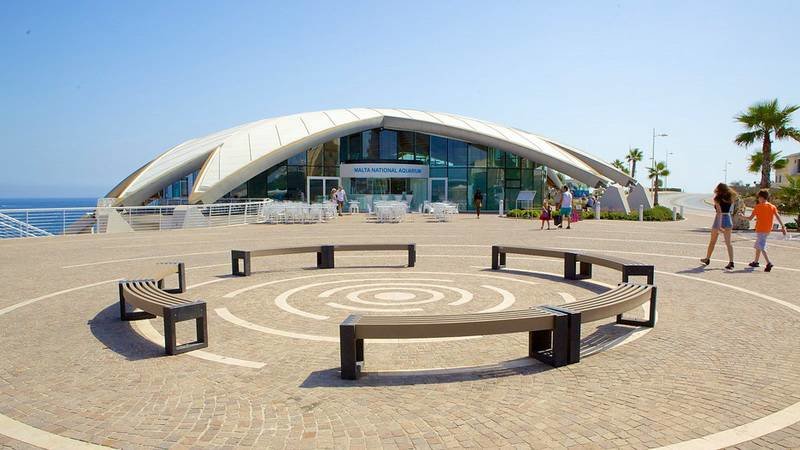 олимпийский парк сочи фото