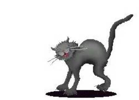 ����� ����� �������� ������� ���������, ��������