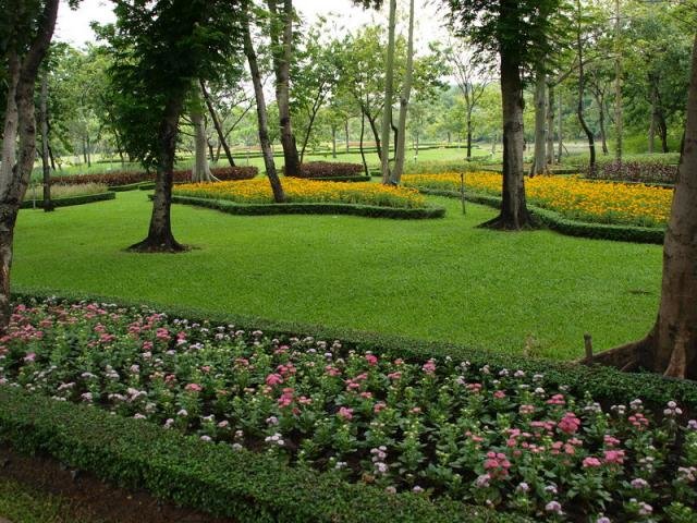королевский парк кёкенхоф нидерланды фото