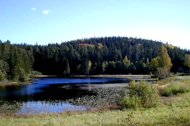 река илим фото