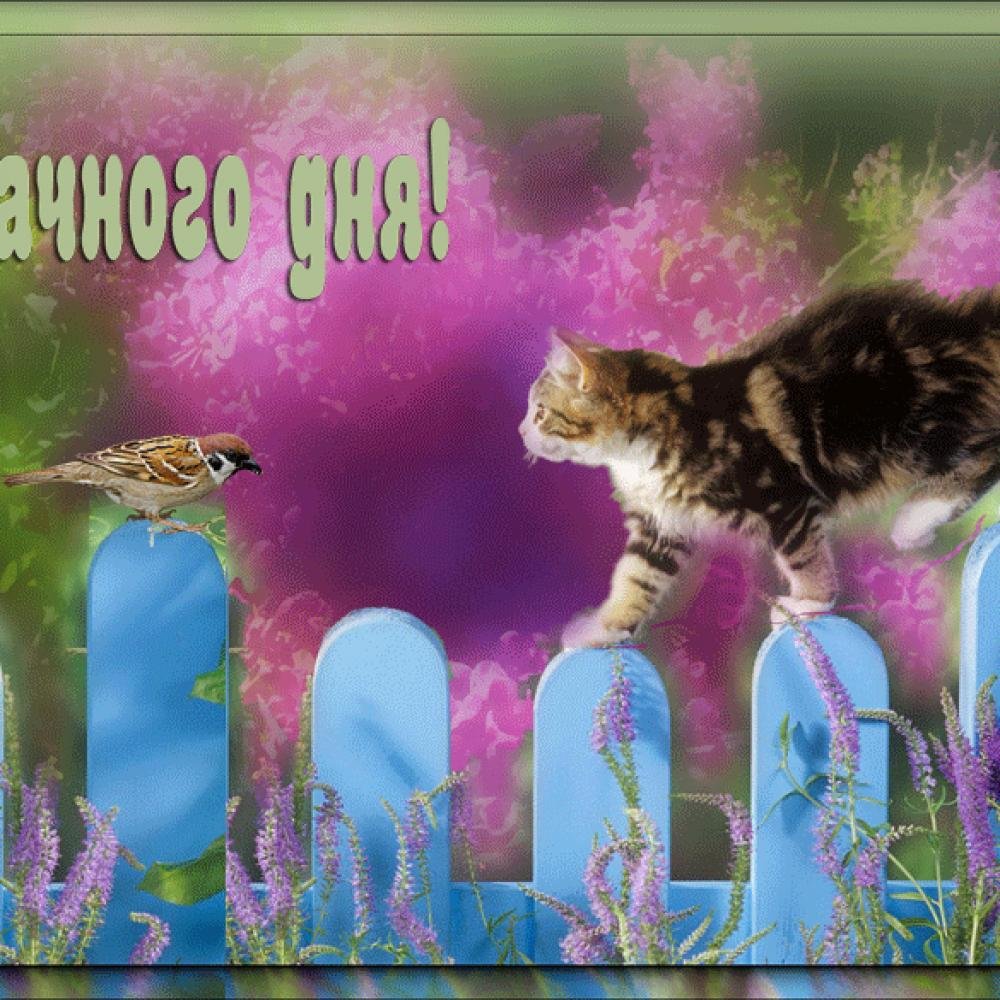 ���, ���������� �������� ������ ���� ��������