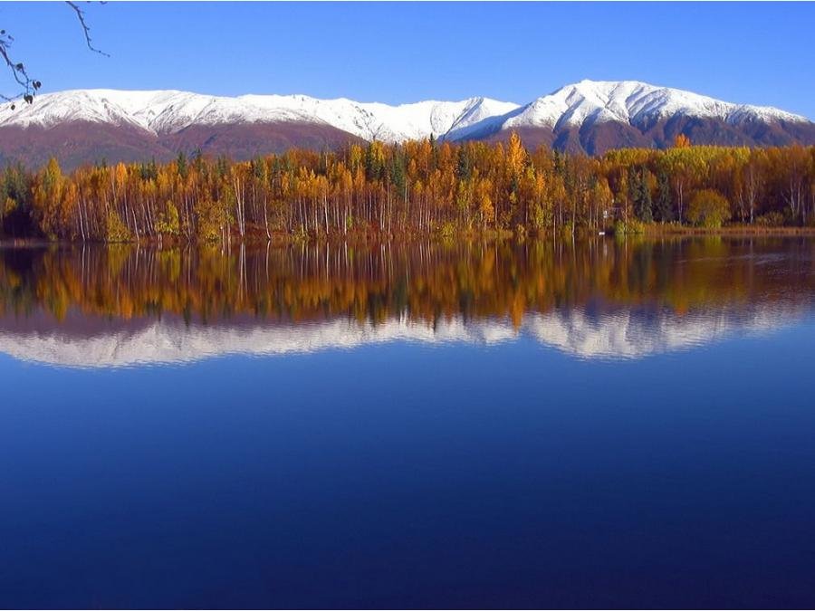 флора сша аляска фото