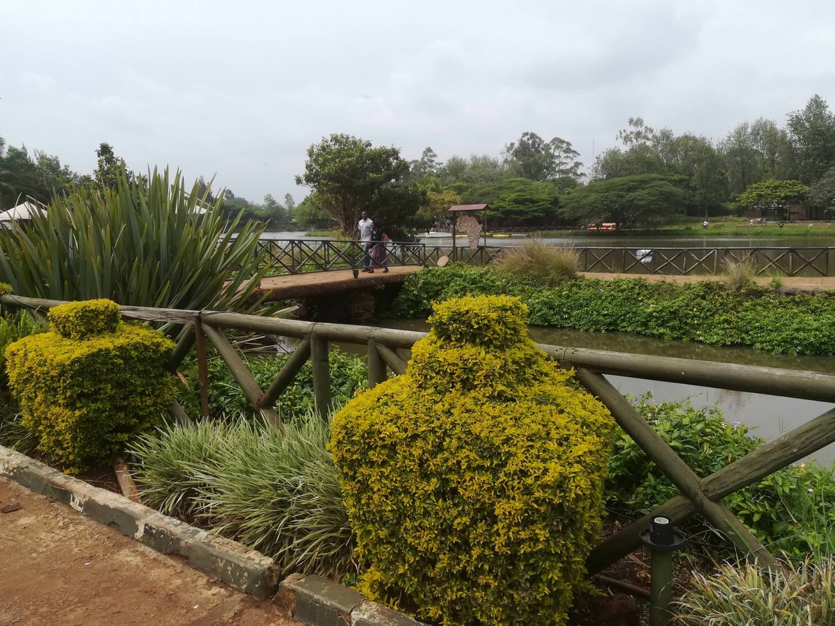 botanic garden фото