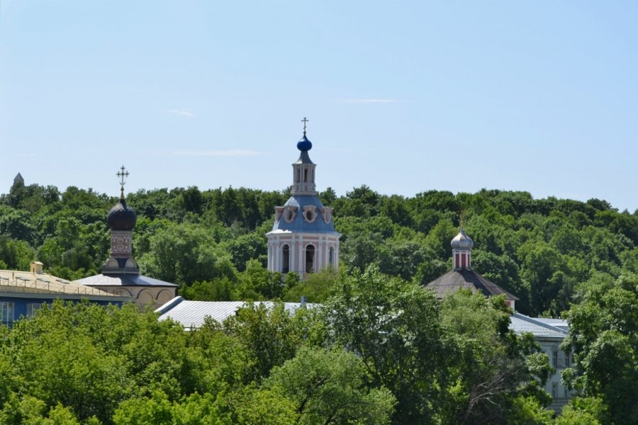 андреевский монастырь на воробьевых горах фото