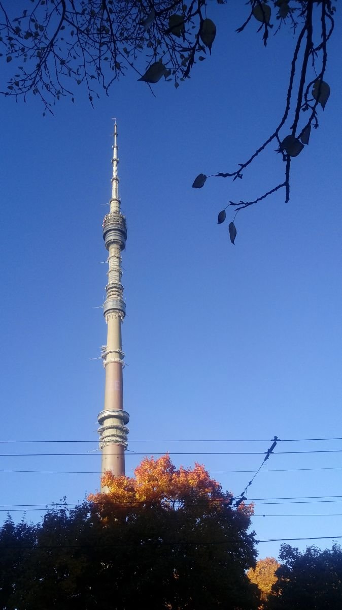 вднх останкинская башня фото