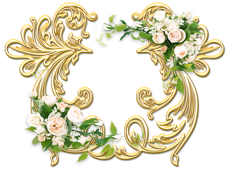 ������ ����������, �������� ��������� ��������