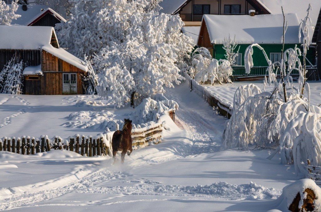 деревенская зима