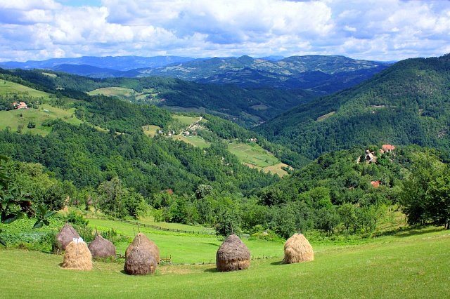 златый бор сербия фото