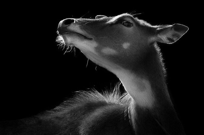 фотограф wolf ademeit фото