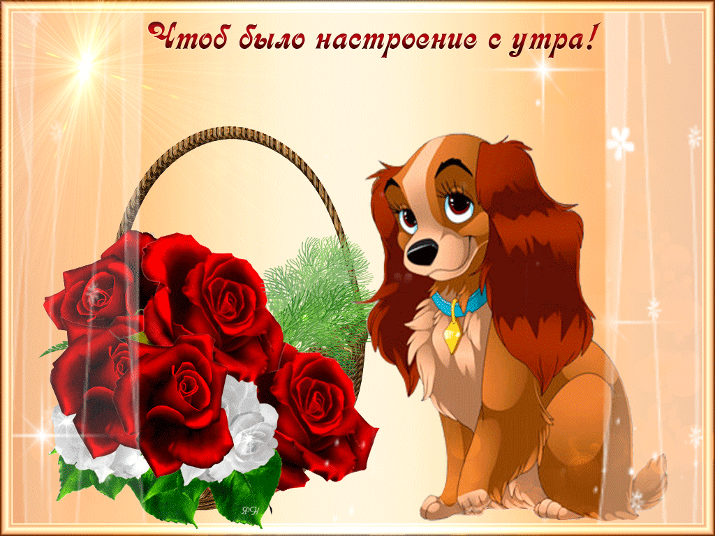 ������� ��������, ������ ������������ �������� ��