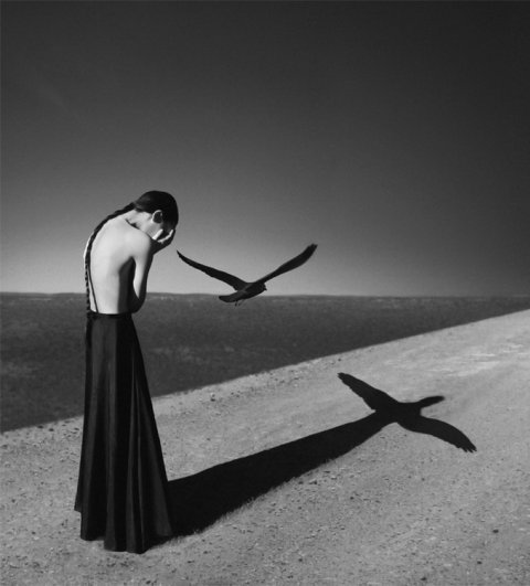 noell oszvald фото