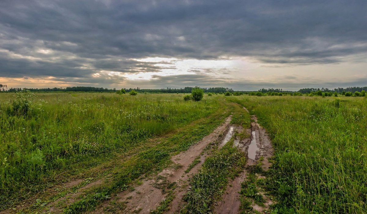 лето дорога фото