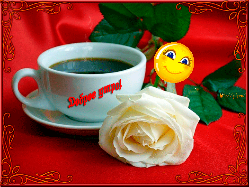 ����� �������� � ������ ����� ������� ��������, ���� �������