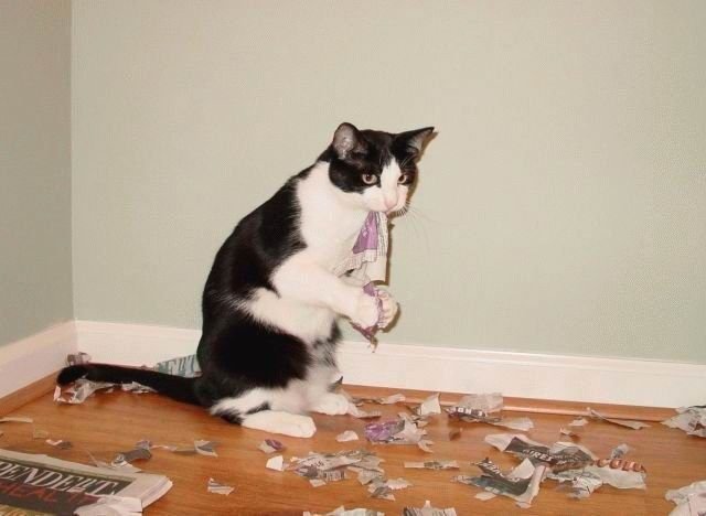 ���������� �������� � �������