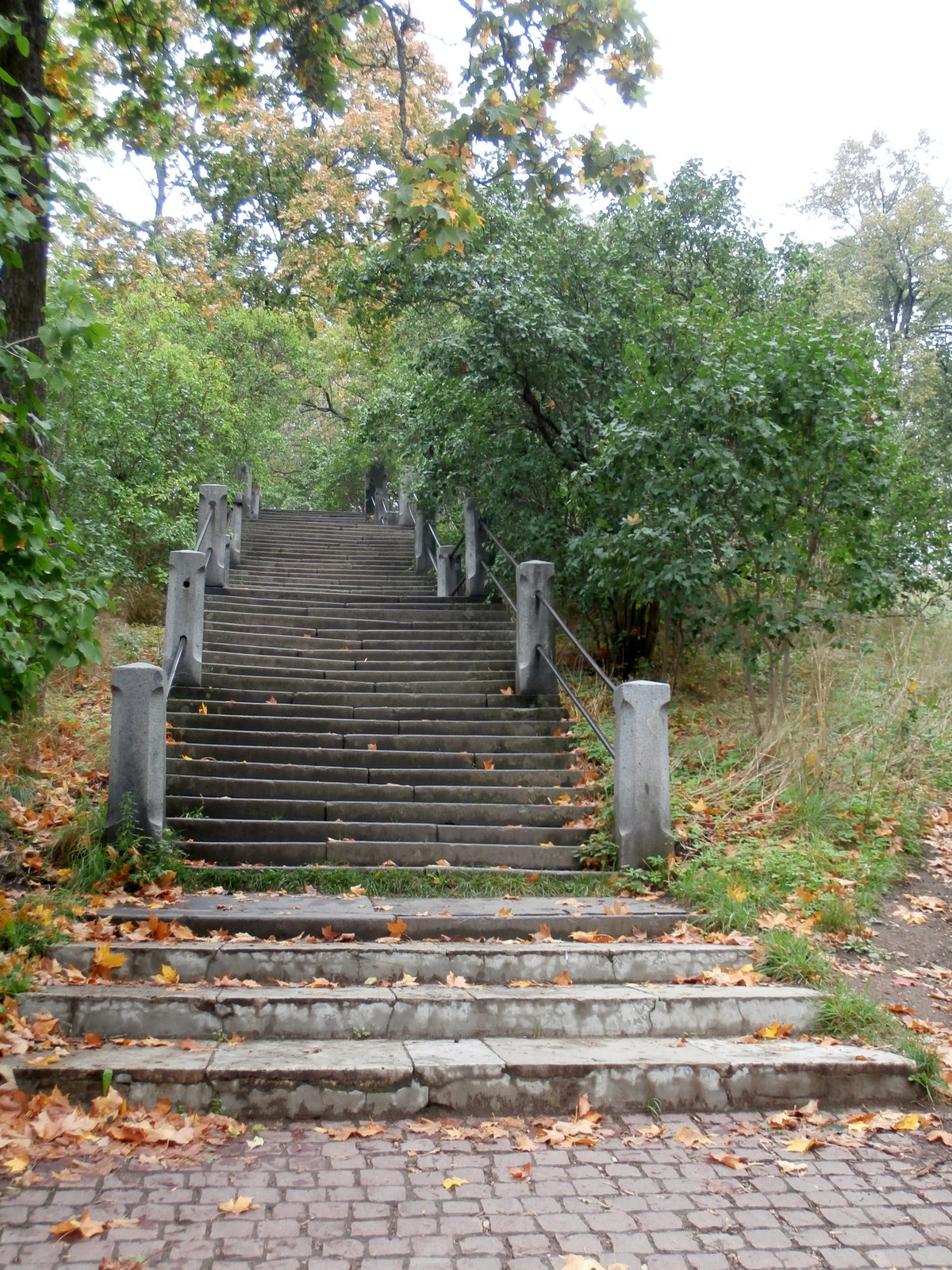 лестница в серебряном бору фото