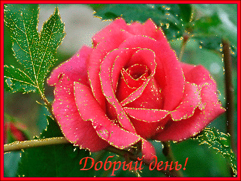 �������� ������ ���� ����