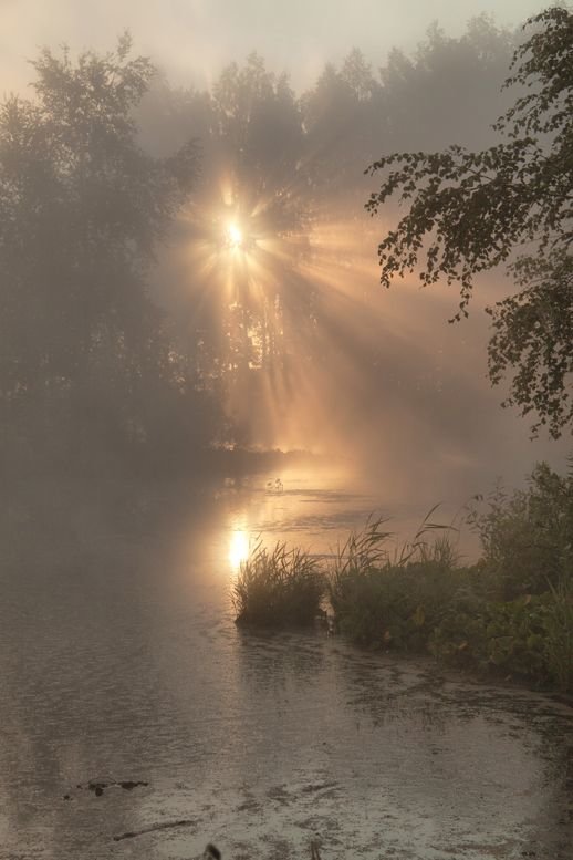 солнце сквозь туман фото