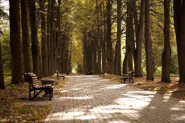 екатерининский парк царское село аллеи фото
