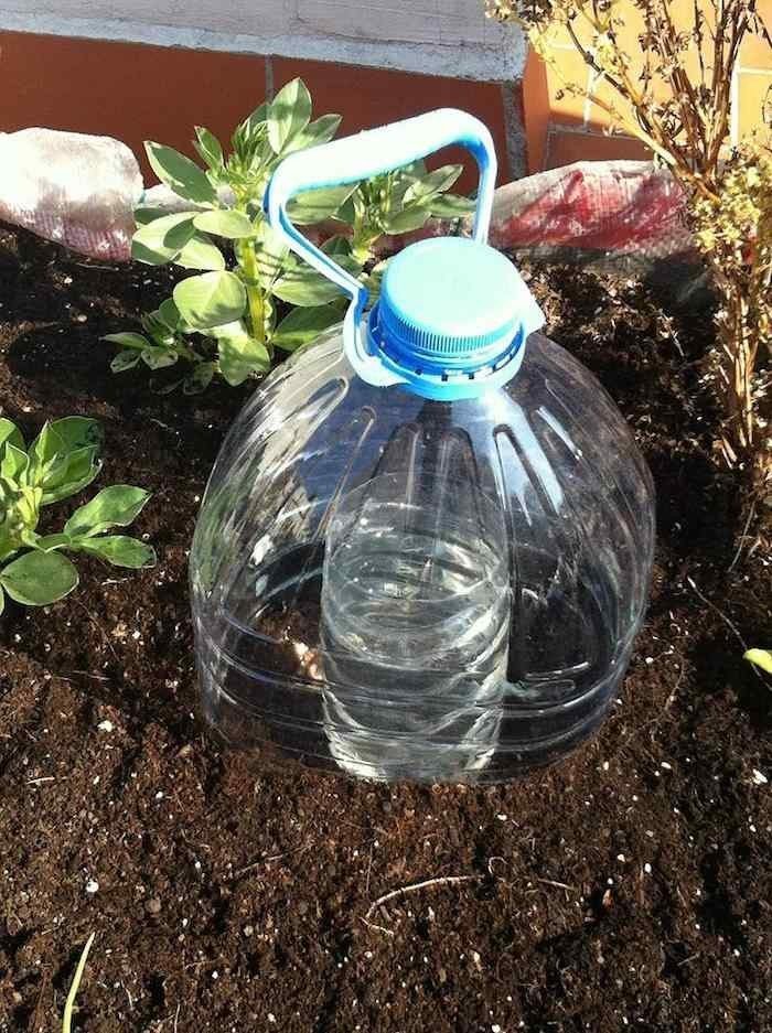 капельный полив из пластиковой бутылки