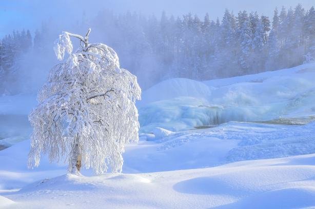снежная зима фото