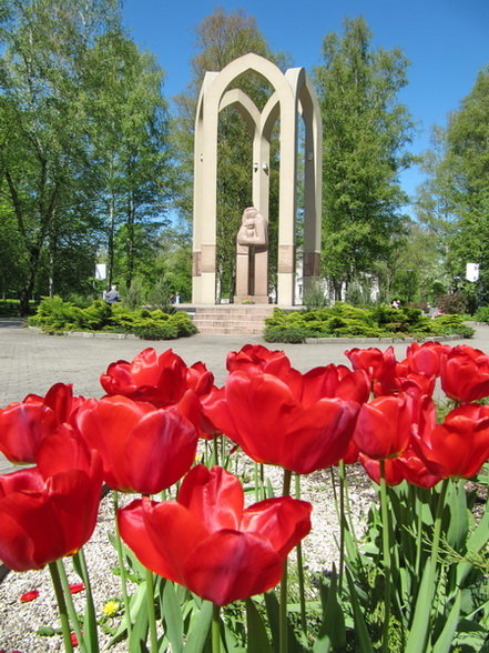 памятник воинам интернационалистам калининград фото