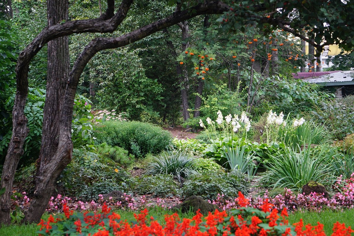 ������������ ��� ����������� ���� ��