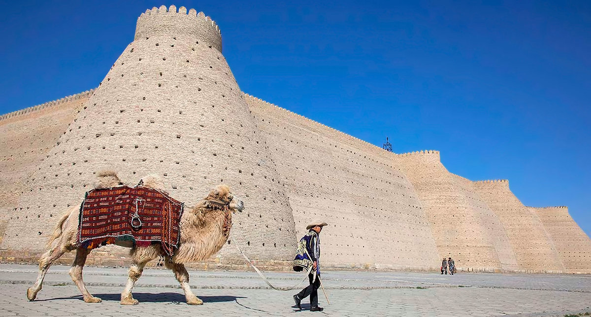крепость арк в бухаре фото