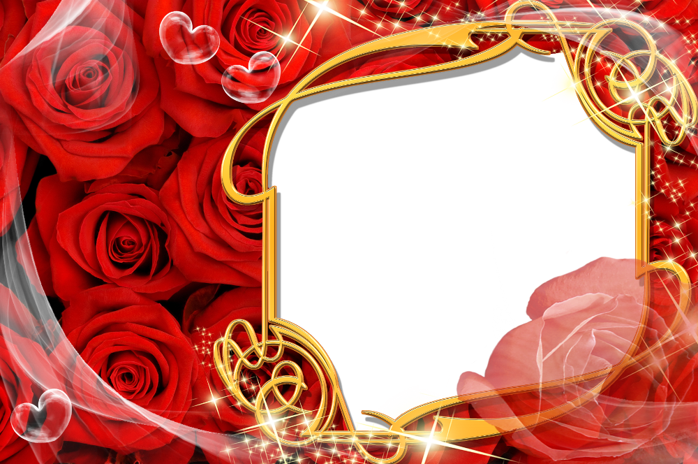 ��� ������� ��������, �������� ����