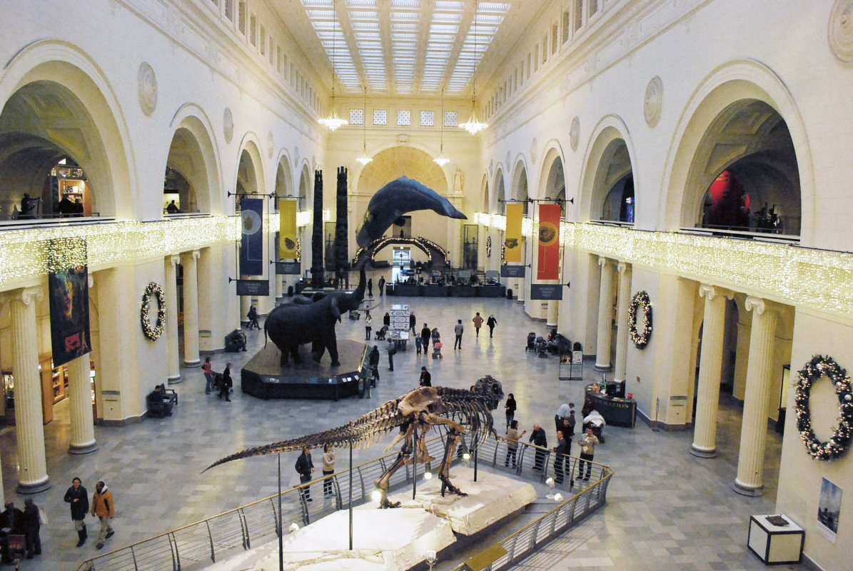 chicago field museum фото
