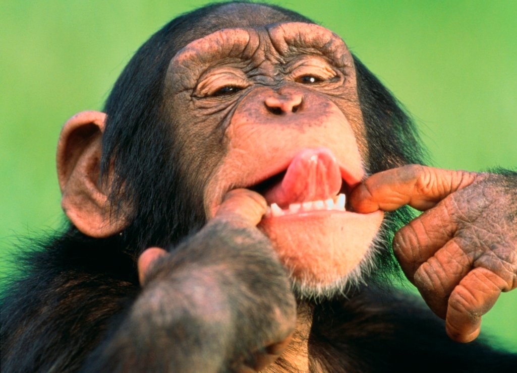 �������, ������� ������� �������� �� ���