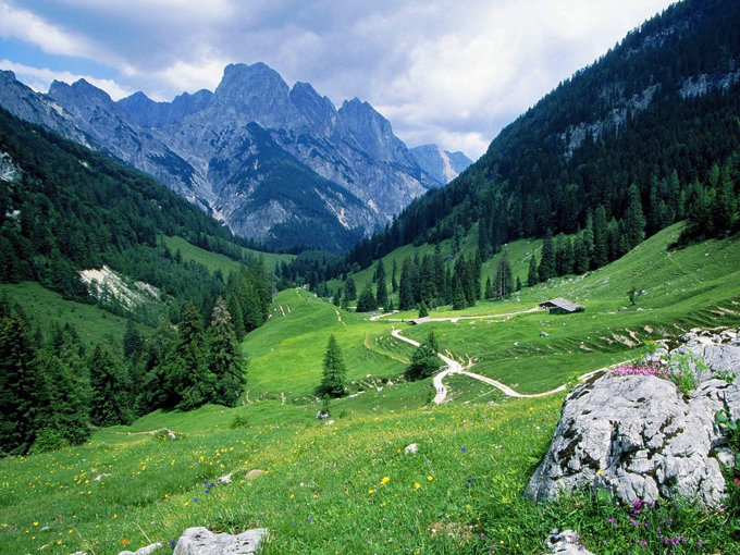 альпийские луга германии фото